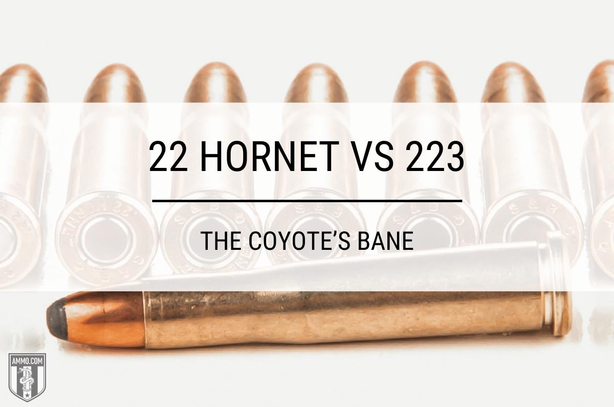 22 Hornet Vs 22Lr Cartridge Comparison By Ammo Com