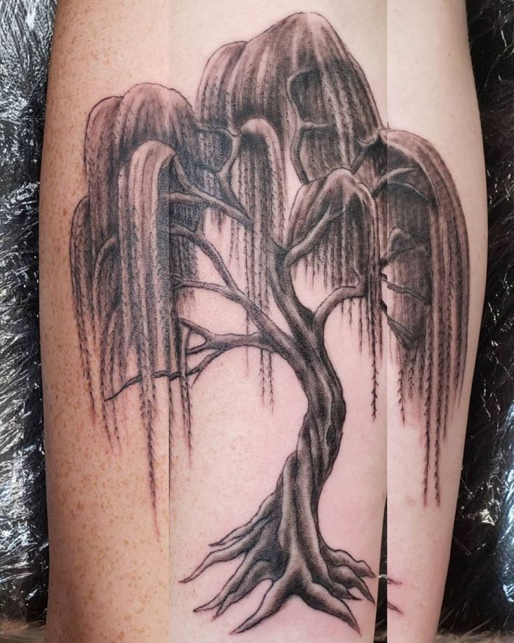 30 Pretty Weeping Willow Tattoos You Must Try Weeping Willow Tattoo Willow Tree Tattoos Life