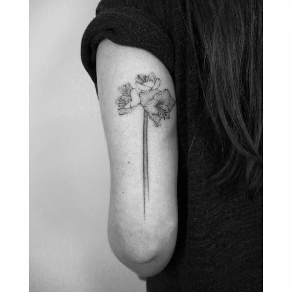 Amaryllis Tattoo