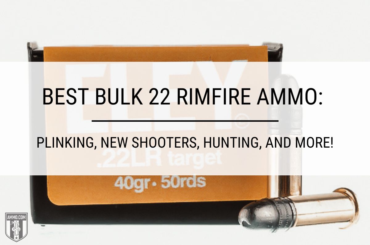 Best 22Lr Rimfire Ammo Reliable Accurate And Inexpensive