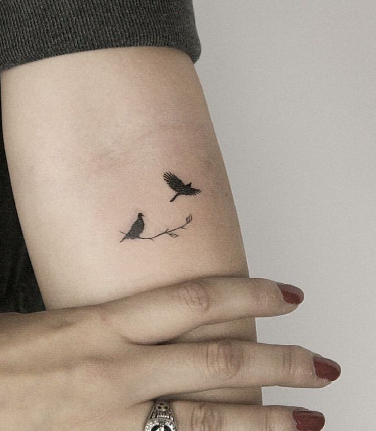 Bird Tattoo Bird Hand Tattoo Tiny Bird Tattoos Feather Tattoos Birds