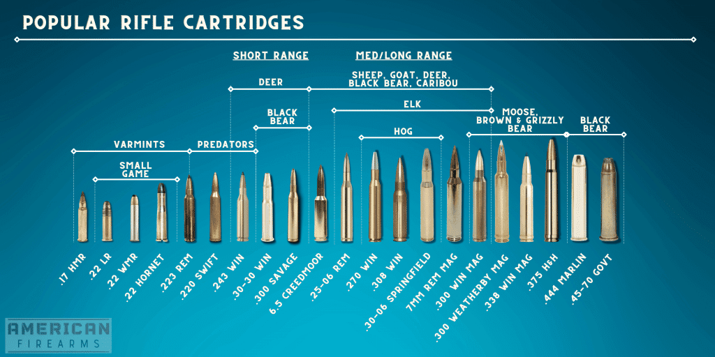 Pistol Round Size Comparison Bullets Sizes Calibers And Types Guide