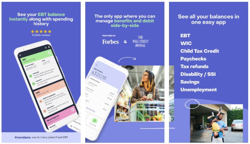 Providers App Review 2021 An Ebt App Appedus