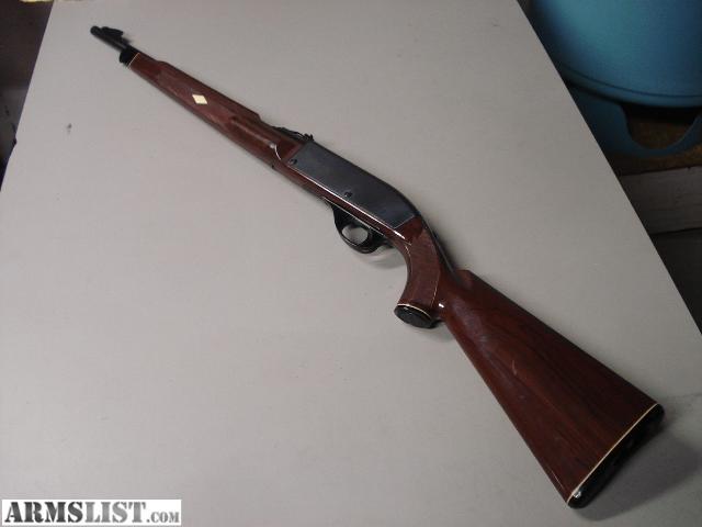 Remington Nylon 66 22 Long Rifle For Sale At Gunsamerica Com 955318286