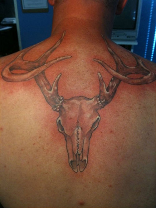 Skull Tattoos Designs Ideas And Meaning Tattoos For You