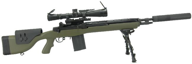 Springfield M14 Photos History Specification