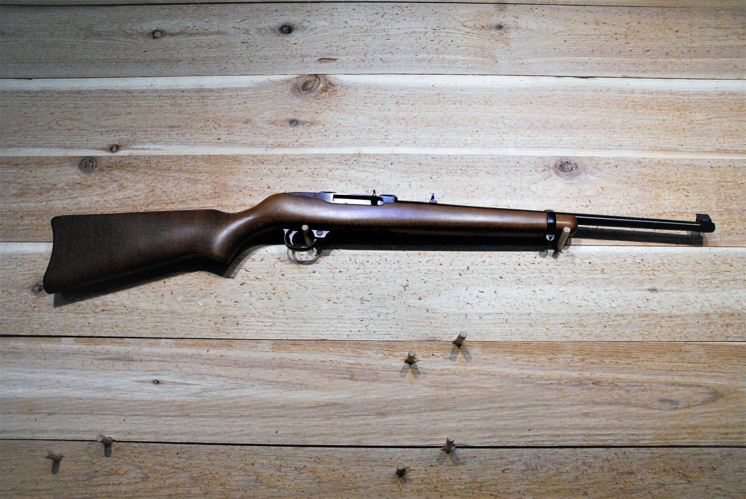 The Ruger 10 22